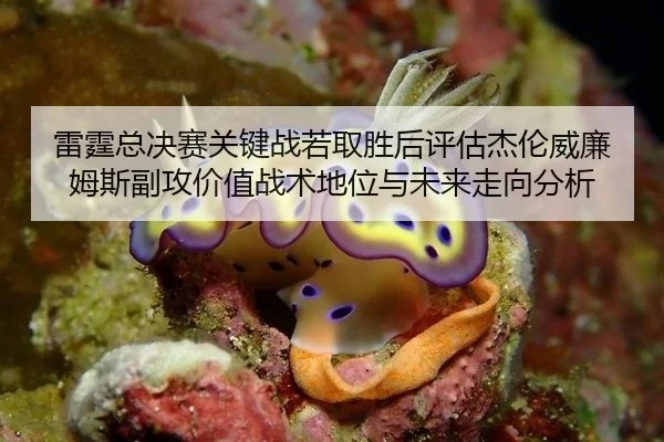 lei-ting-zong-jue-sai-guan-jian-zhan-ruo-qu-sheng-hou-ping-gu-jie-lun-wei-lian-mu-si-fu-gong-jia-zhi-zhan-shu-di-wei-yu-2-888.jpg