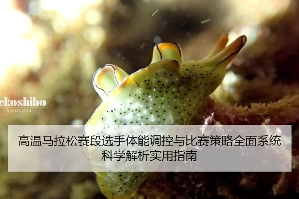 高温马拉松赛段选手体能调控与比赛策略全面系统科学解析实用指南