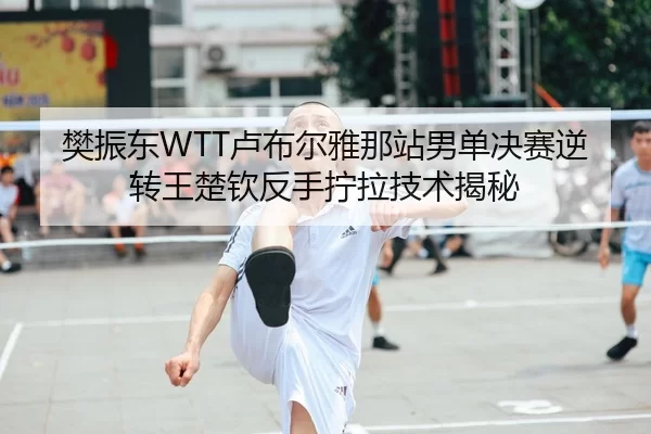 樊振东WTT卢布尔雅那站男单决赛逆转王楚钦反手拧拉技术揭秘